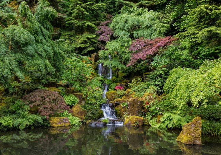 Portland Japanese Garden – Portland Japanese Gard