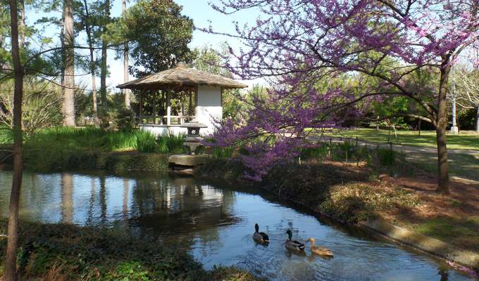 Japanese Garden | Hermann Park Conservan