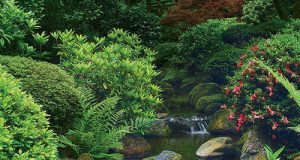 Elements of a Japanese Garden - FineGardeni