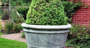Big Garden Pot | Large outdoor planters, Large garden planters .