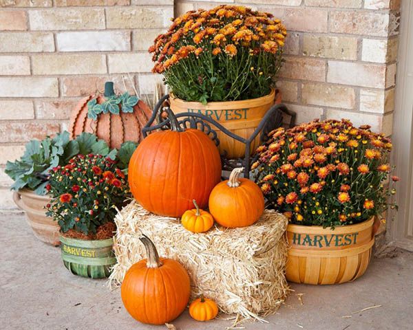 30 Eye-Catching Outdoor Thanksgiving Decorations Ideas – Easyday .