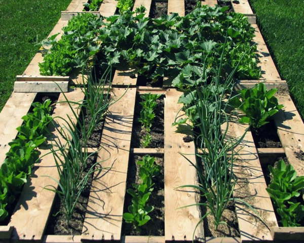 How to Build a Pallet Garden - Upcycle Project - Survival Garden