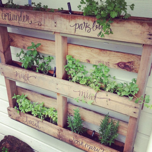 43 Gorgeous DIY Pallet Garden Ideas to Upcycle Your Wooden Palle