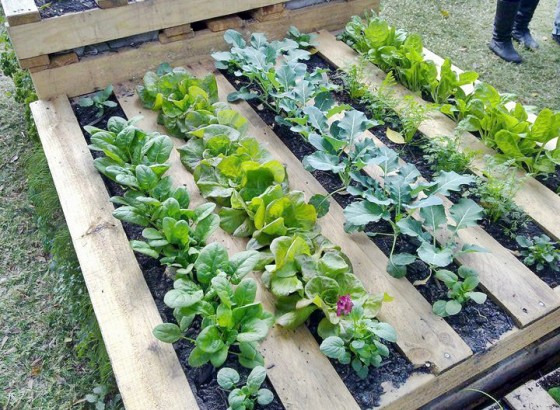 How to Make a Wood Pallet Garden - New England Tod