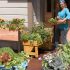 Create a Patio Vegetable Garden | Gardener's Supp