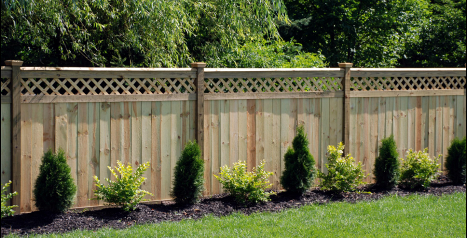 Adding Value to Your Home with a Backyard Fen