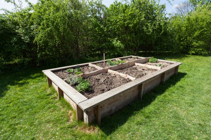 How to Build a Raised Garden Bed: Planning, Building, and Planting .