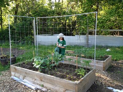 Henke's Raised Bed Garden | Sustainability Ne