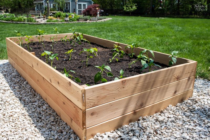 How to Build a Raised Garden Bed - The Navage Pat