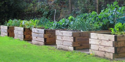 How to Build a Raised Garden Bed - DIY Raised Bed Instructio