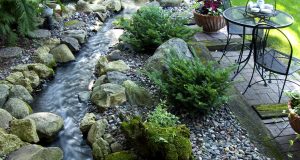 Rock Garden Ideas to Beautify Your Backya