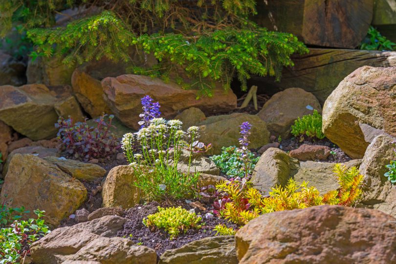 Create a Rockin' Rock Garden | Colorado Country Life Magazi