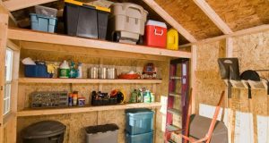 The Dos and Dont's of Shed Organization | Storage shed .