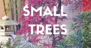 10 best trees for small gardens: Beautiful small trees | Small .