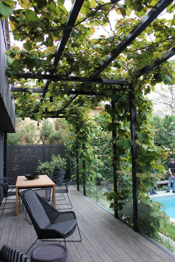 Steel Pergola | Backyard garden design, Contemporary garden design .