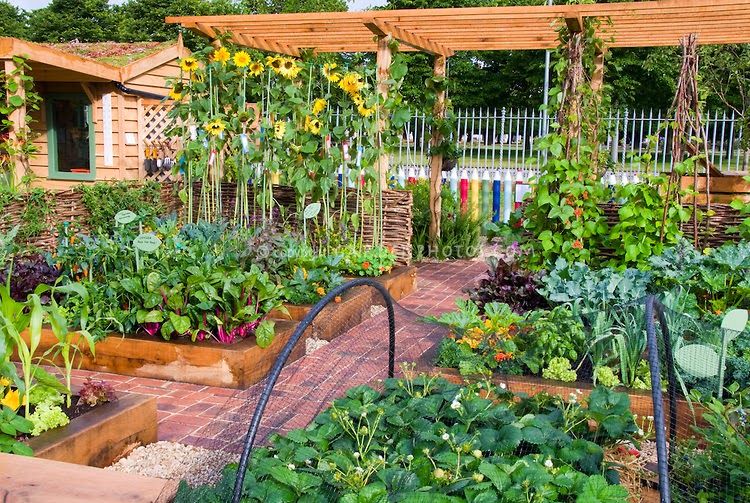 dream vegetable garden - Google Search | Home vegetable garden .