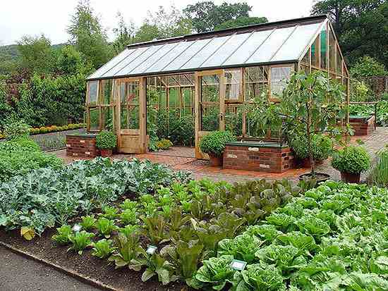 How to Plan a Bigger, Better Vegetable Garden | MOTHER EARTH NE