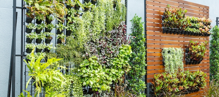 Top 10 Reasons to Grow a Vertical Garden - Dave's Gard