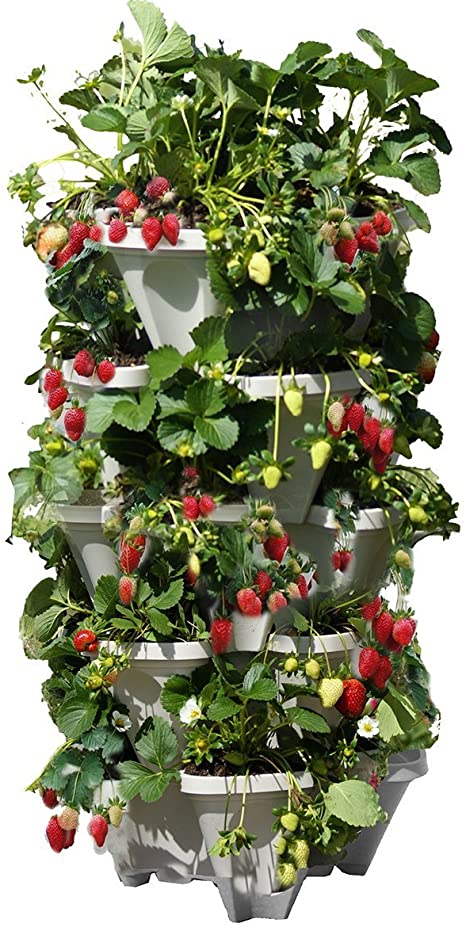 Amazon.com: Mr. Stacky 5 Tiered Vertical Gardening Planter, Indoor .