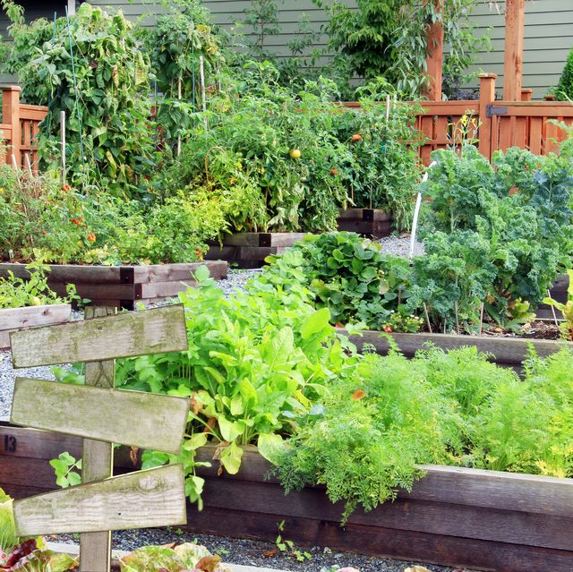 20 Free Garden Design Ideas and Plans - Best Garden Layou
