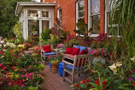 Marcia Tatroe: Populating a patio with abundant container garden .