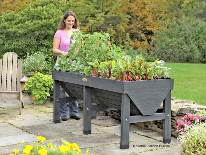 Container Gardening with Vegetables: Getting Started | The Old .