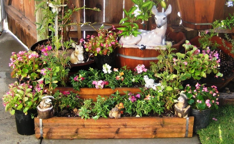 Container Gardening for Beginners - Windowbox.com Bl