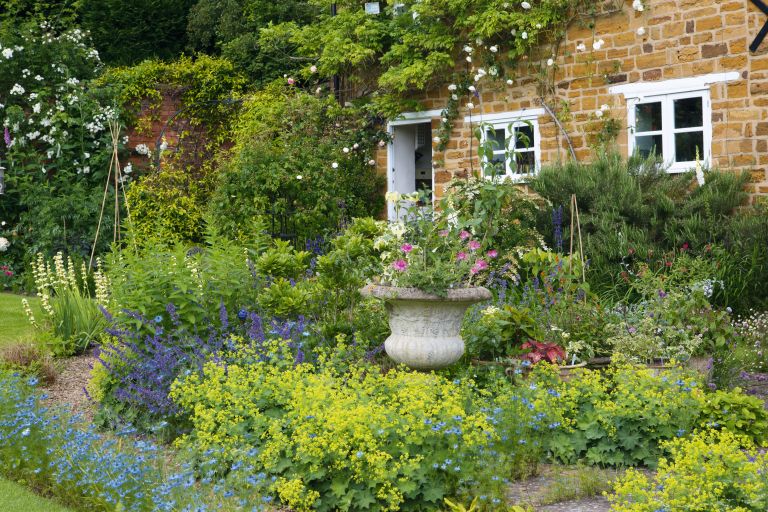 Cottage gardens: create yours with our planning tips and picture .