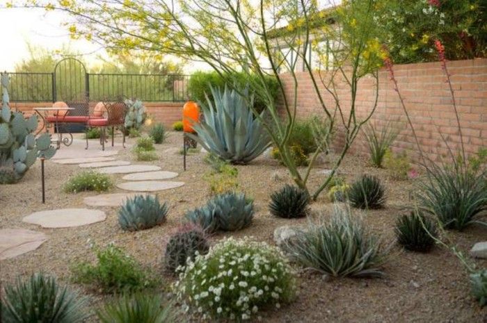 Backyard Desert Landscaping , Desert Landscaping For Your Yard In .