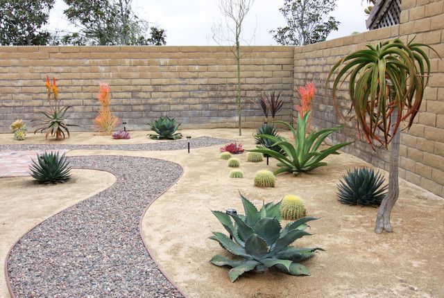 pretty, and simple | Desert landscaping backyard, Desert backyard .