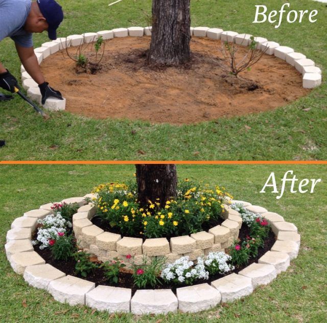 Landscaping around a tree | Front yard landscaping, Front yard .