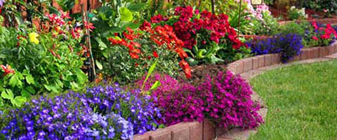Flower Bed Ideas For Front Of Hou