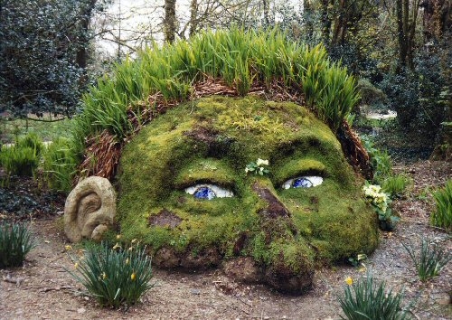 Creative Garden Art Pictures, Photos, and Images for Facebook .