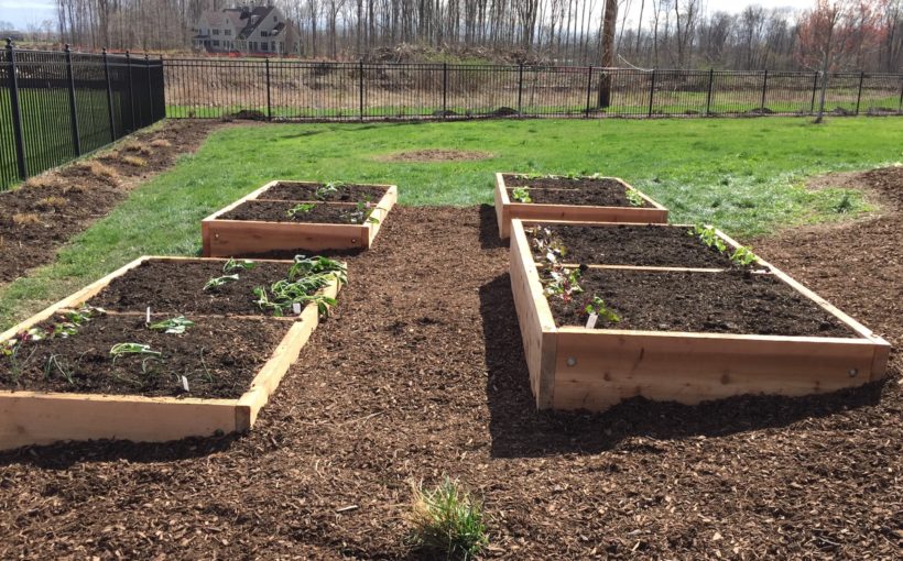 Building Raised Garden Beds - Spotts Garden Servi