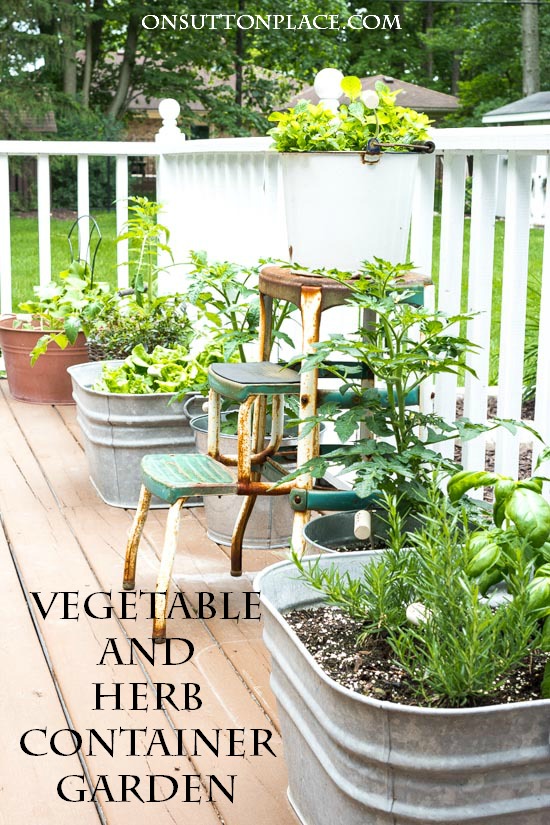Easy Container Gardening: Herbs & Vegetables - On Sutton Pla