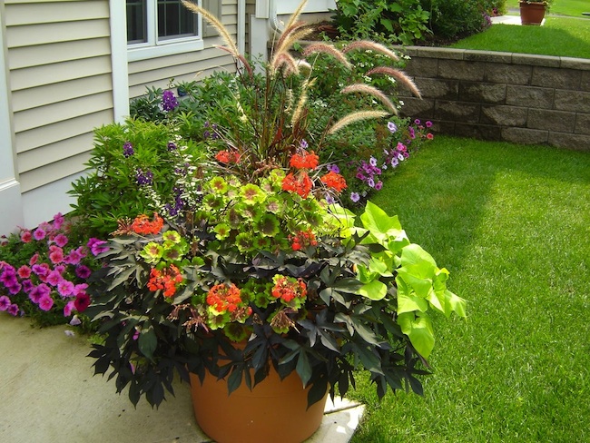 Container Gardening Tips - Bob Vi