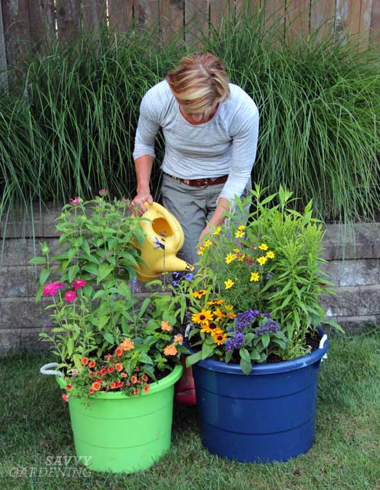 Container garden maintenance tips: Help your plants thrive all summ