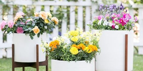 10 Best Garden Decoration Ideas - Creative Ways to Design Your Gard