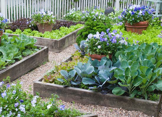 Four x Four Foot Vegetable Garden Designs – P. Allen Smi