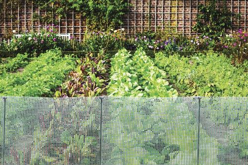 Volm 2' x 25' Garden Net Fence at Menards