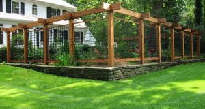 15 DIY Garden Fence Ideas With Pictures! | Diy garden fence .