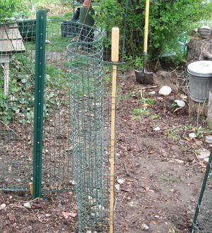 How to Build a Cheap, Temporary Vegetable Garden Fence | Fenced .