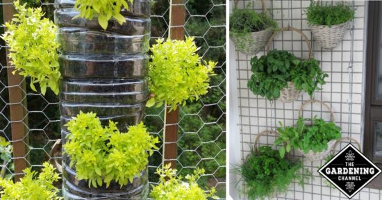 10 Fun Vertical Gardening Ideas - Gardening Chann