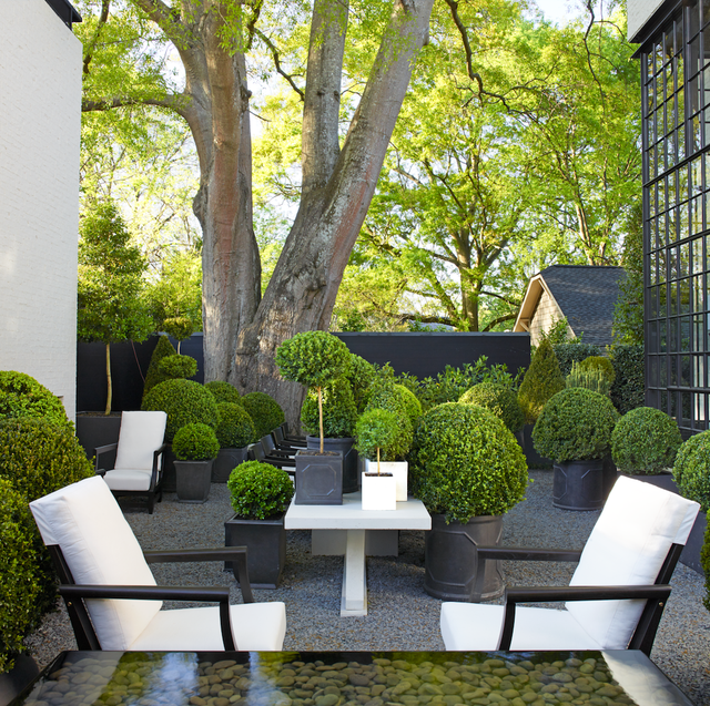 Boxwood Landscaping Ideas - Boxwoods for Front Yard and Backya