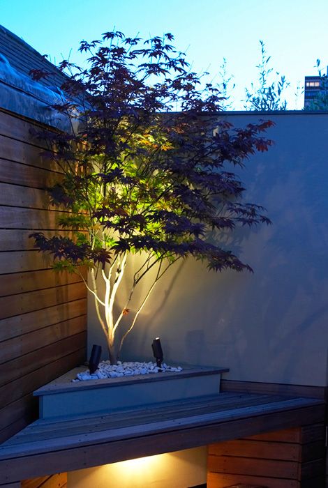 20 Dreamy Garden Lighting Ideas … | Landscape design, Garden .