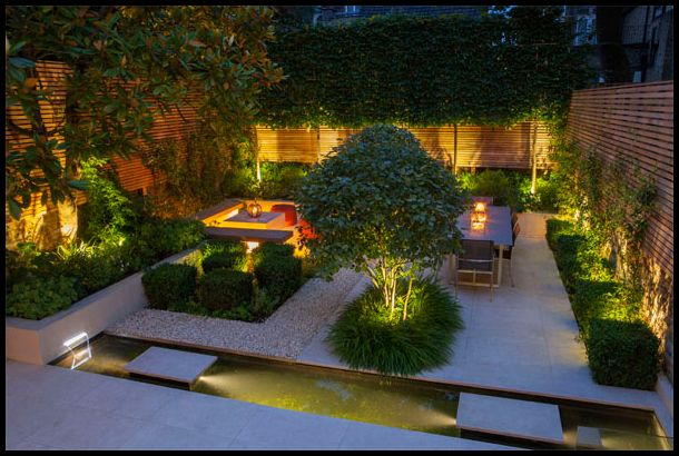 Perfect garden lighting. It spotlights plant forms without adding .