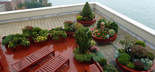 Rooftop Planters: Ideas On How To Create The Perfect Rooftop .