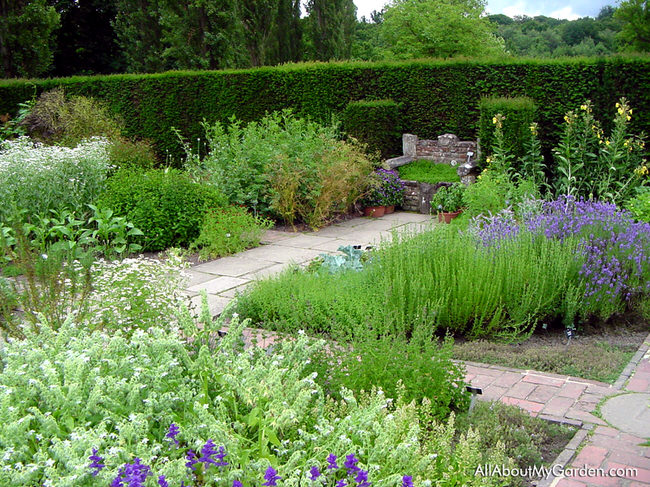 Creative Outdoor Herb Garden Ideas • The Garden Glo