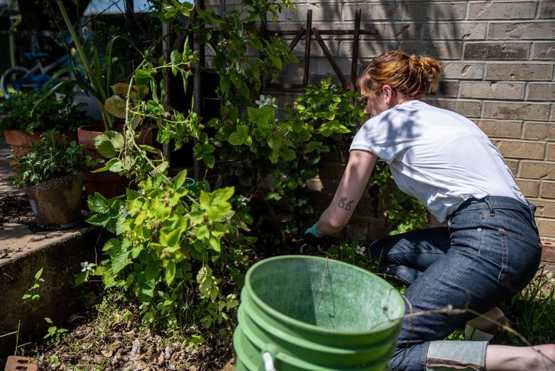 Home gardening blooms around the world during coronavirus lockdow
