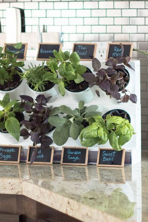 15 Indoor Herb Garden Ideas 2020 - Kitchen Herb Planters We Lo